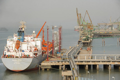 جزییات لغو ممنوعیت صادرات محصولات پتروشیمی/ استثنا برای صادرات محصولات ممنوعه